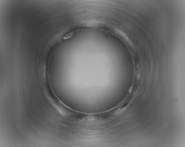 X0000068860589200605192019