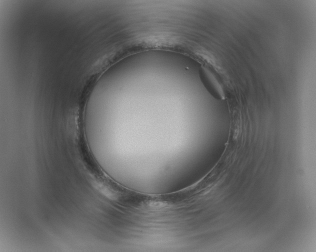 X0000068860590200605192019