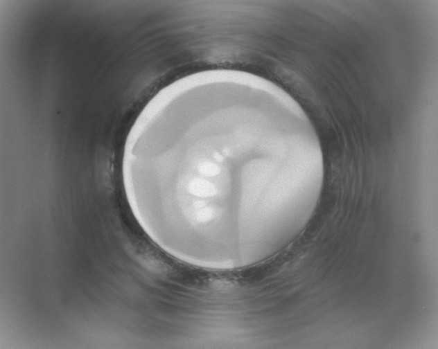 X0000068860592200605192019