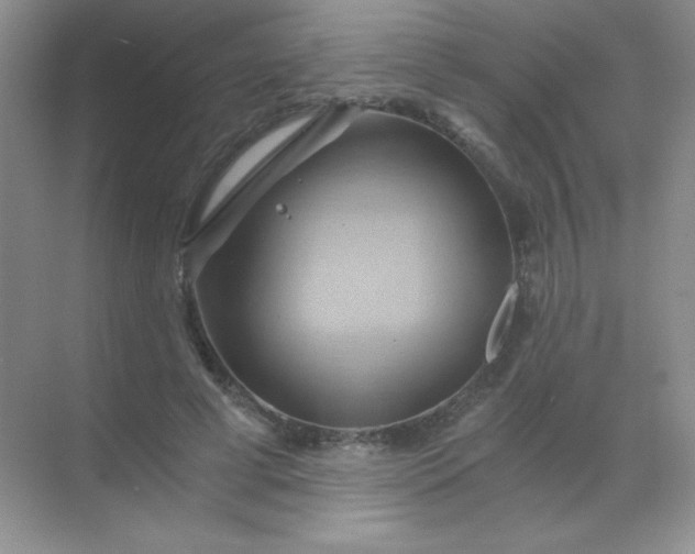 X0000068860593200605192019