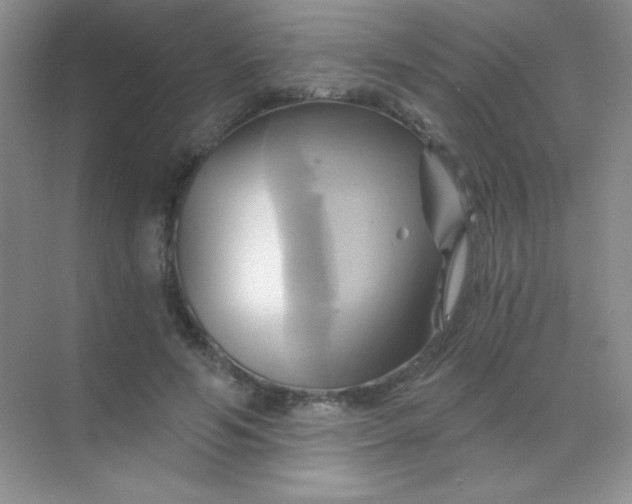 X0000068860594200605192019