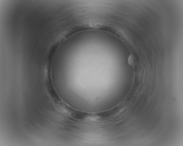 X0000068860595200605192019