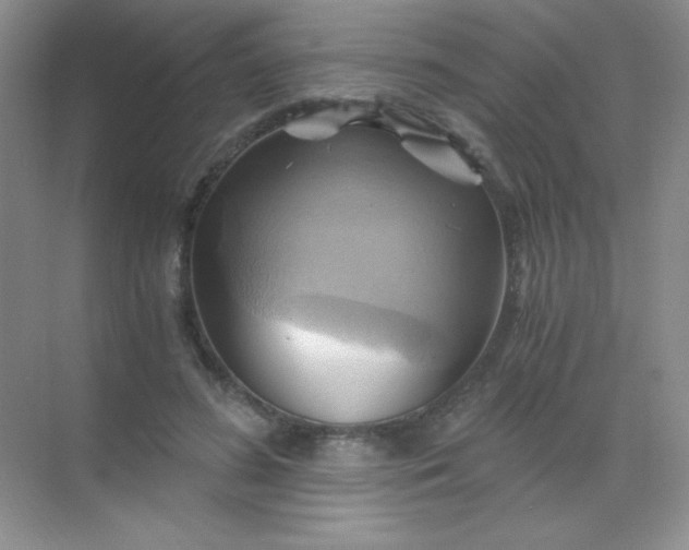 X0000068860596200605192019