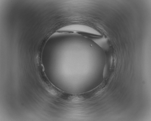 X0000068860597200605192019