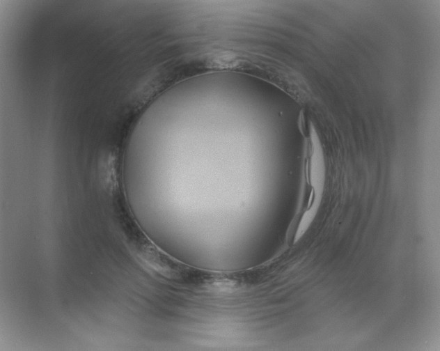 X0000068860598200605192019