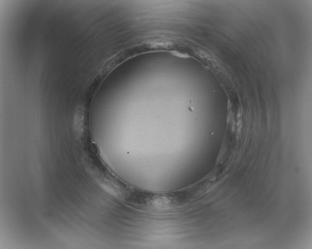 X0000068860600200605192019