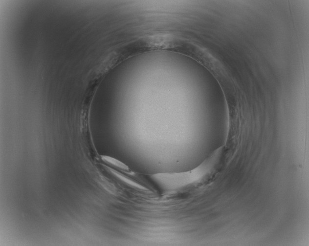 X0000068860601200605192019