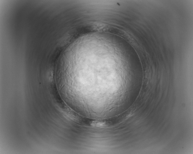 X0000068860602200605192019