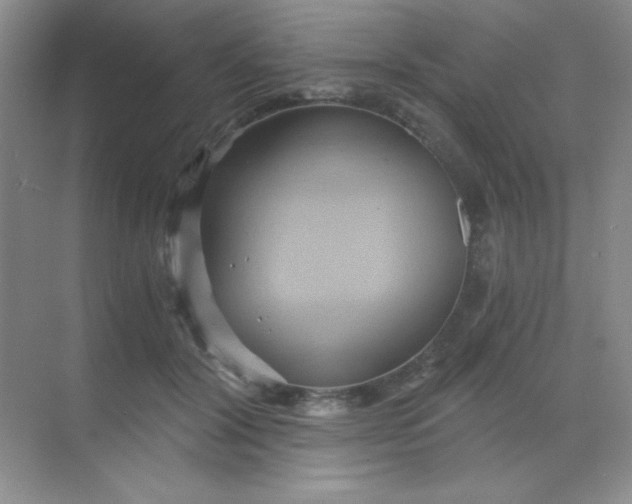 X0000068860604200605192019