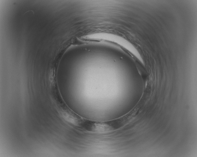 X0000068860605200605192019