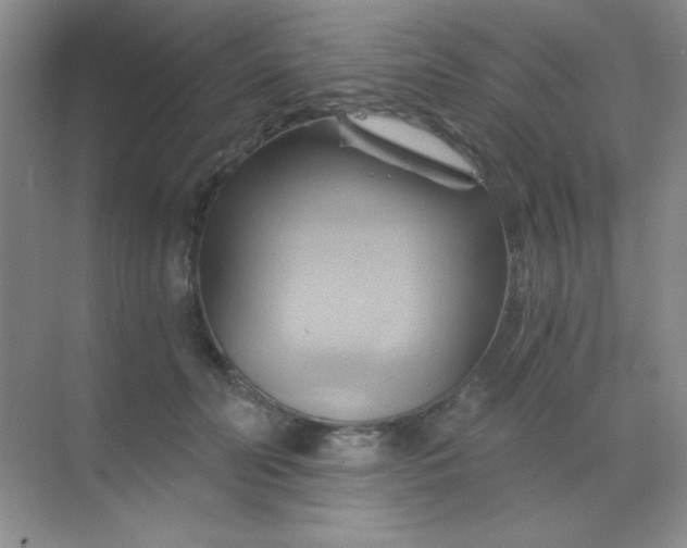 X0000068860606200605192019