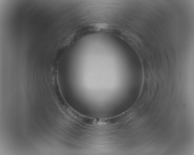 X0000068860607200605192019