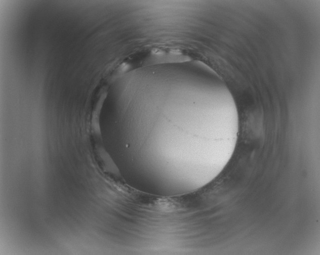 X0000068860608200605192019