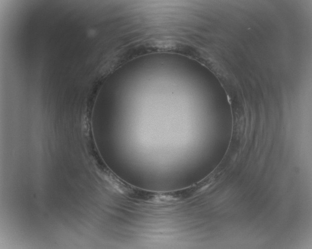 X0000068860609200605192019