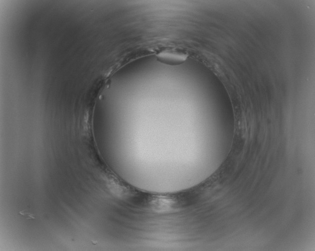 X0000068860610200605192019