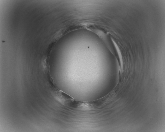 X0000068860611200605192019