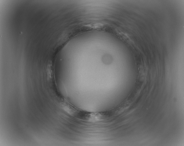 X0000068860612200605192019