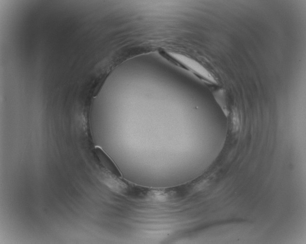 X0000068860613200605192019