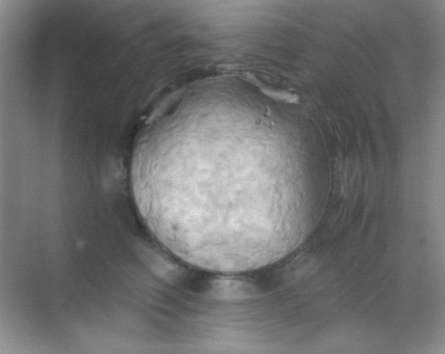 X0000068860614200605192019