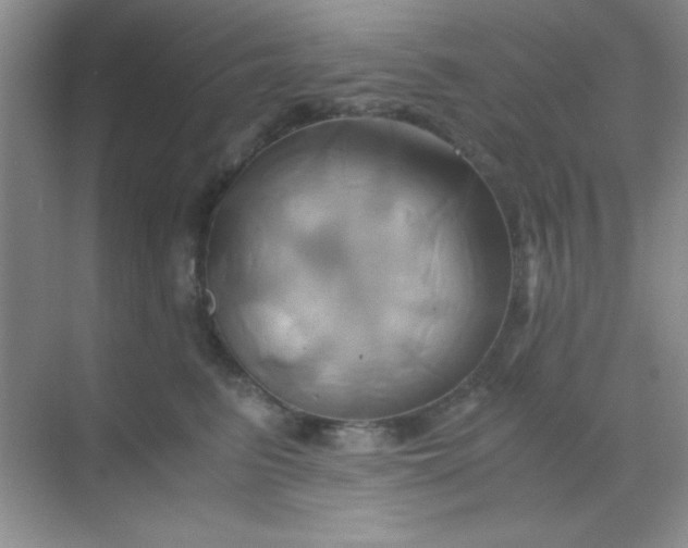 X0000068860615200605192019