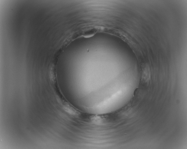 X0000068860616200605192019