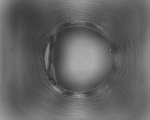 X0000068860617200605192019