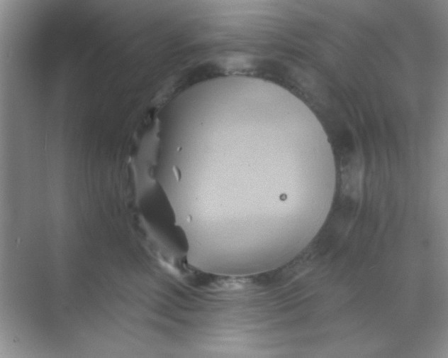 X0000068860618200605192019