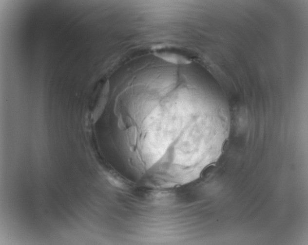 X0000068860619200605192019