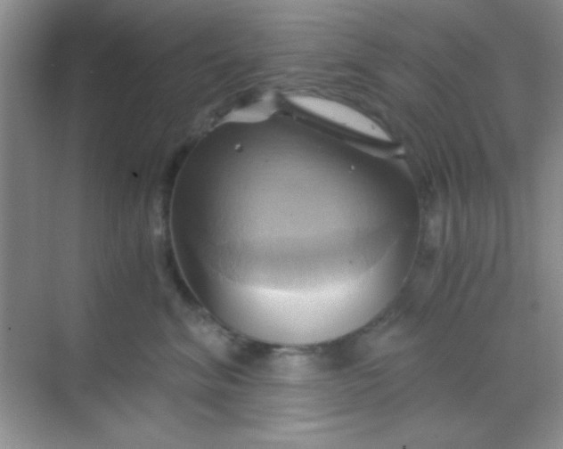 X0000068860620200605192019