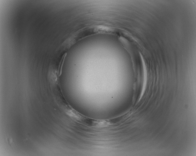 X0000068860621200605192019