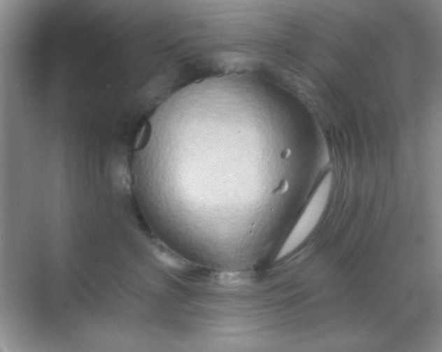 X0000068860622200605192019