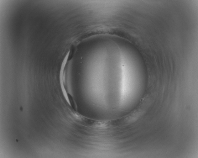 X0000068860624200605192019