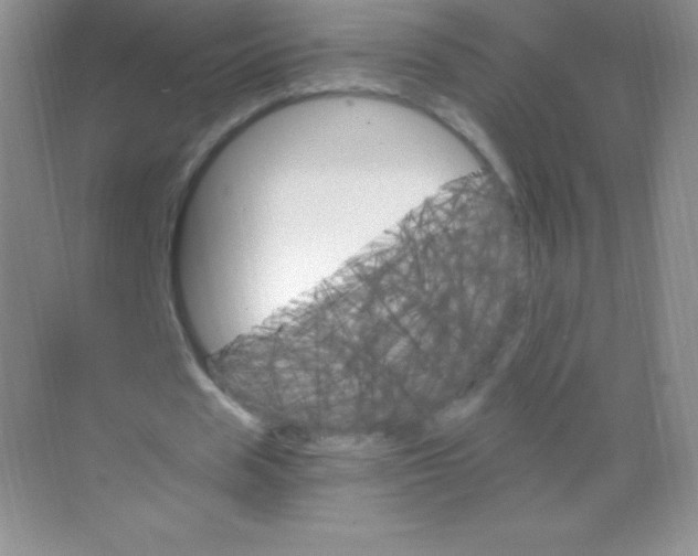 X0000068860625200605192018