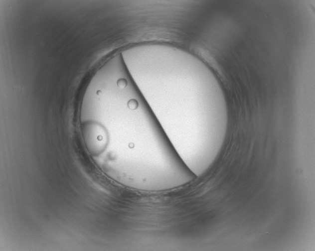 X0000068860627200605192018