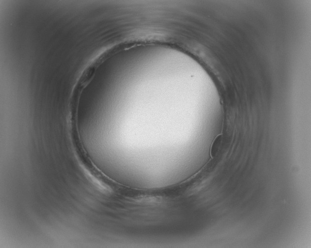 X0000068860629200605192018