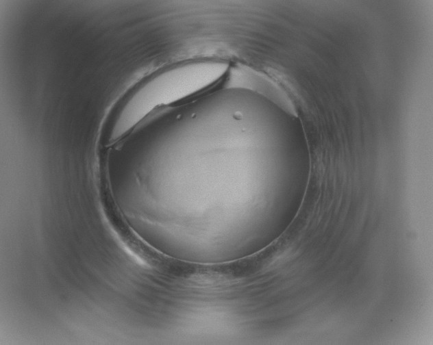 X0000068860630200605192018