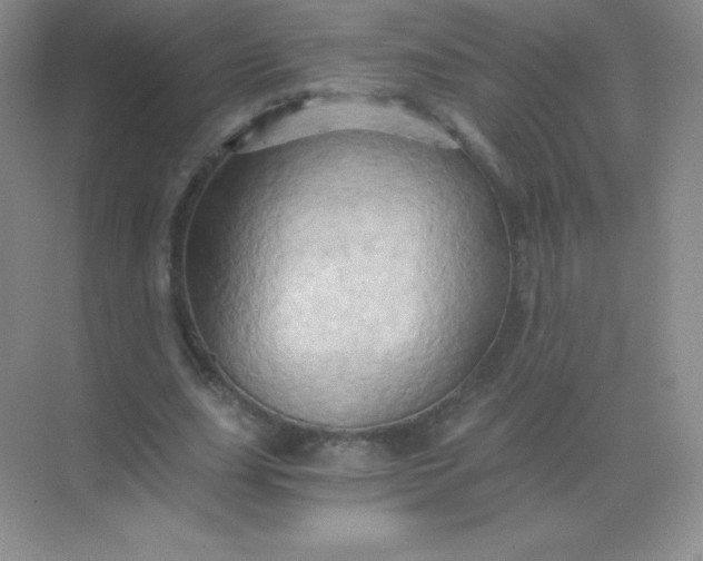 X0000068860631200605192018