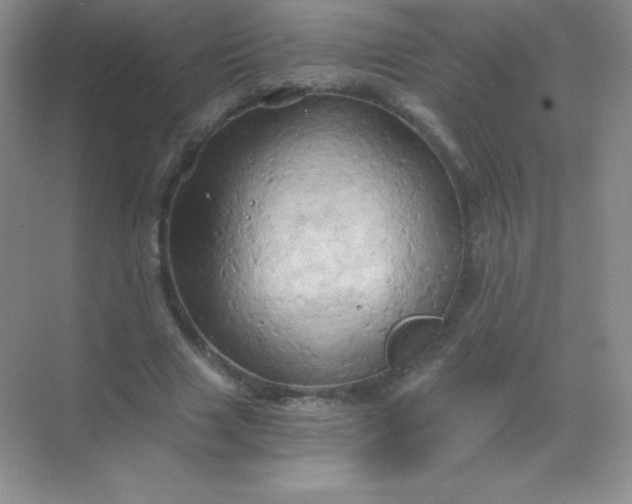 X0000068860633200605192018