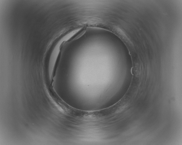 X0000068860634200605192018