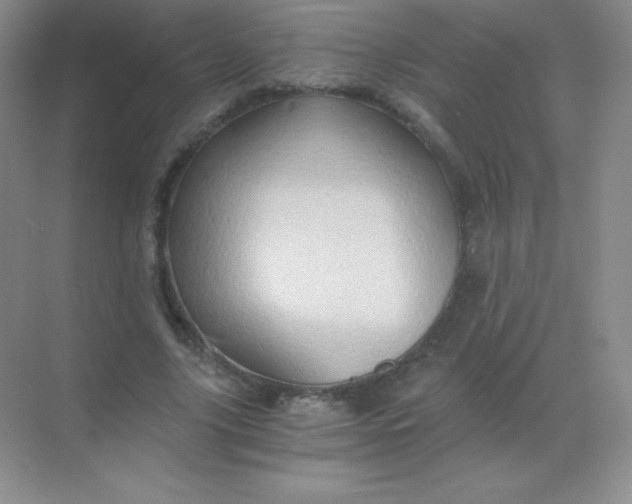 X0000068860635200605192018