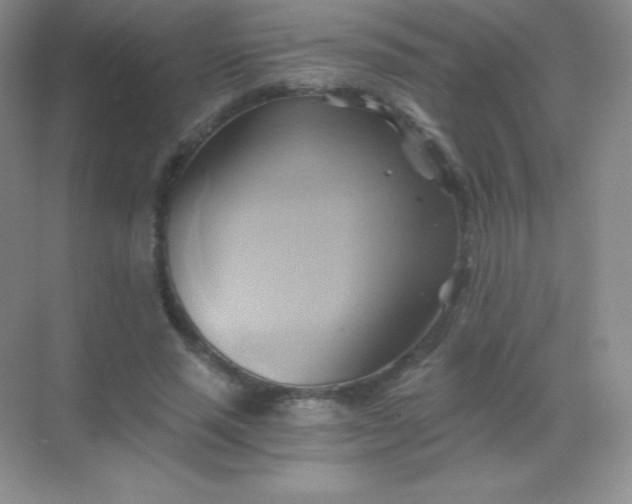 X0000068860637200605192018