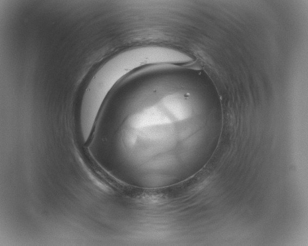 X0000068860638200605192018