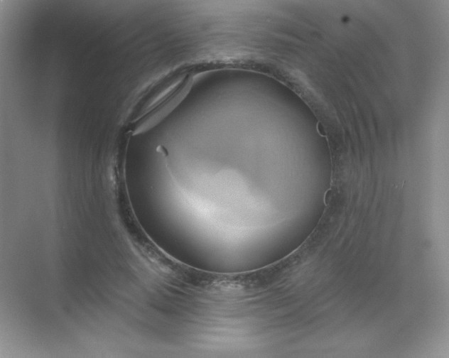 X0000068860640200605192018