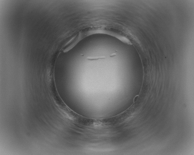 X0000068860641200605192018