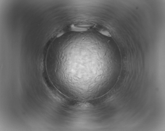 X0000068860642200605192018