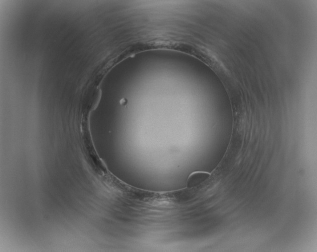 X0000068860643200605192018