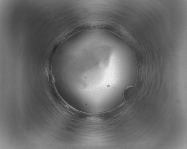 X0000068860644200605192018