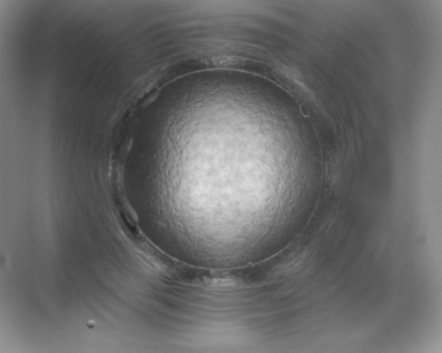 X0000068860645200605192018