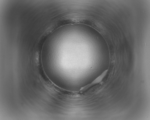 X0000068860646200605192018