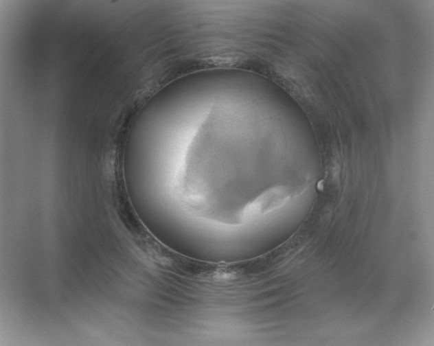 X0000068860647200605192018